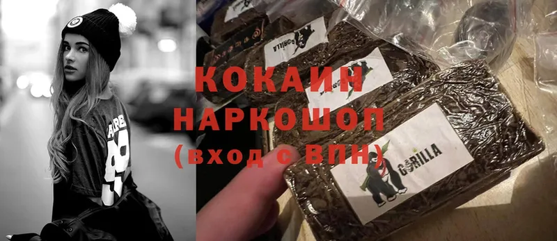 где продают наркотики  МЕГА как зайти  Cocaine Колумбийский  Каменногорск 