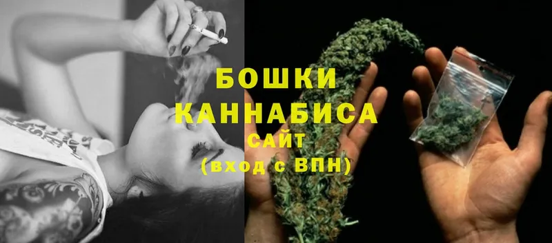 Конопля индика  Каменногорск 